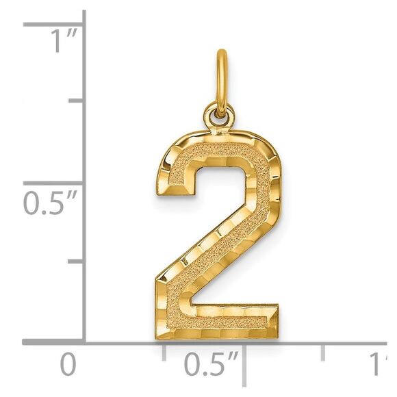 14k Yellow Gold, Varsity Collection, Large D/C Pendant Number 2 - Picture 4 of 5